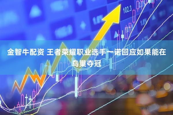 金智牛配资 王者荣耀职业选手一诺回应如果能在鸟巢夺冠