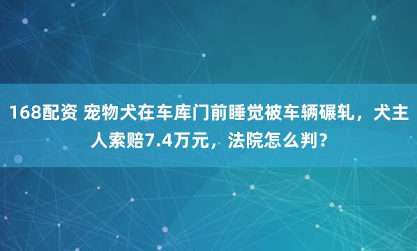 168配资 宠物犬在车库门前睡觉被车辆碾轧，犬主人索赔7.4万元，法院怎么判？