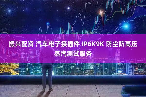 振兴配资 汽车电子接插件 IP6K9K 防尘防高压蒸汽测试服务