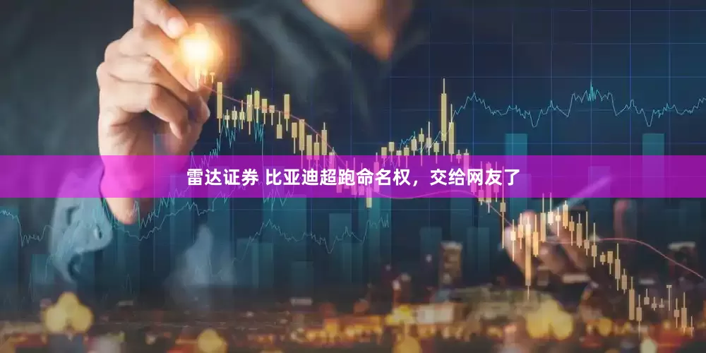 雷达证券 比亚迪超跑命名权，交给网友了